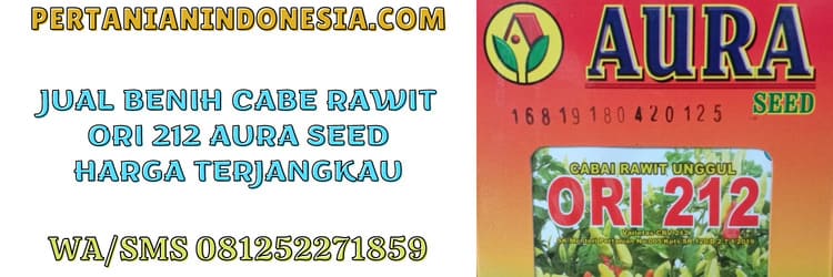 jual,murah,pertanian indonesia,benih cabe rawit,benih cabe rawit ori 212 aura seed